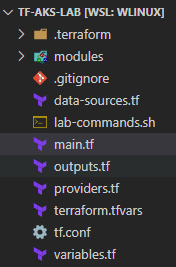 My Starting Terraform Files